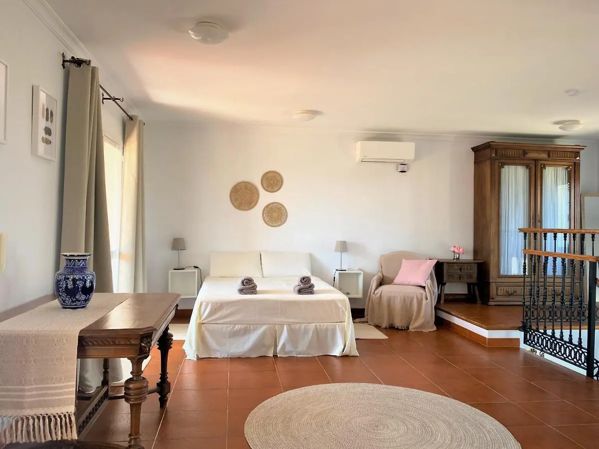 Beautiful Villa Montebello In Benajarafe With Private Pool